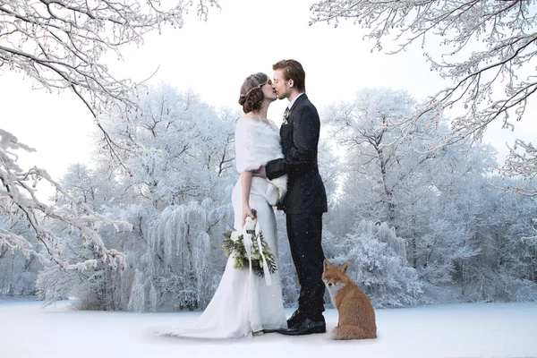 Belo casamento de inverno — Fotografia de Stock