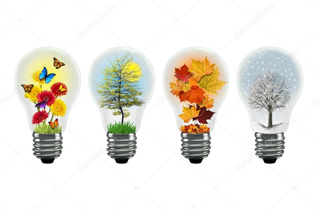 Illustration of seasons in lightbulbs