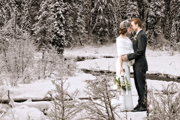 Vinter bröllop utanför — Stockfoto