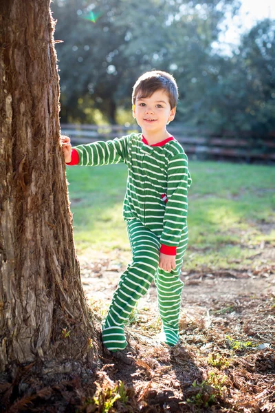 Рождественский мальчик стоит против елки — стоковое фото