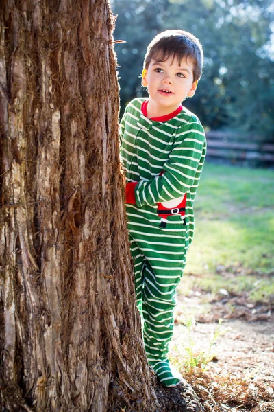 Árbol de Navidad — Foto de Stock