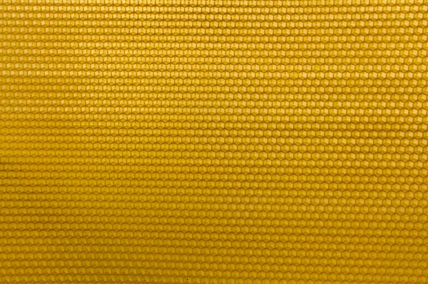 Ein Stück Bienenwachsfundament Hinterleuchtet Textur Bienenwaben Imkerei Sibirischer Honig lizenzfreie Stockfotos
