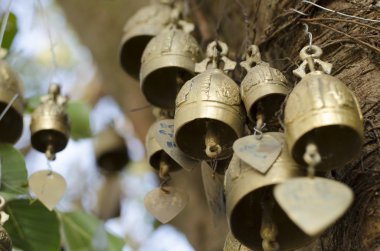 Bells on the tree
