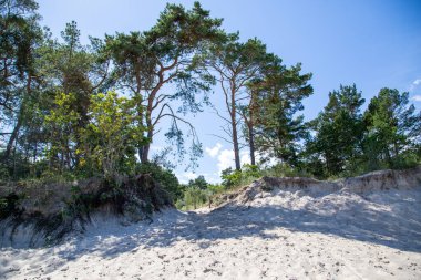 Summe 'deki bir kum tepeciği üzerinden deniz sahiline erişim