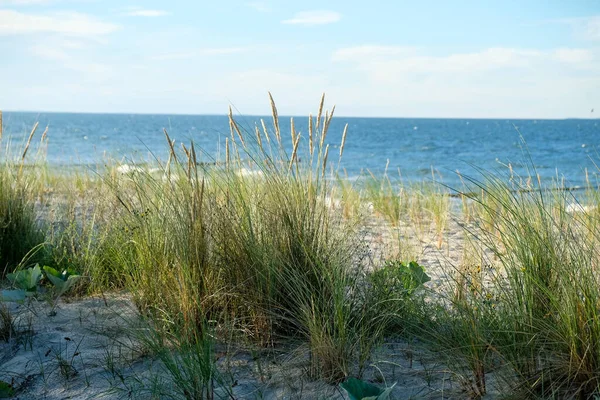 从乌塞敦海滨小度假胜地Zempin海滩上的沙丘上俯瞰波罗的海的美景 — 图库照片