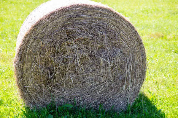 Bale Straw Meadow Dry — Stock Photo, Image