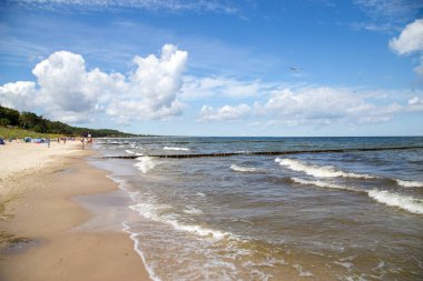 Dalgalar ve güneşle ıssız kumsal Yararlılık adasında.