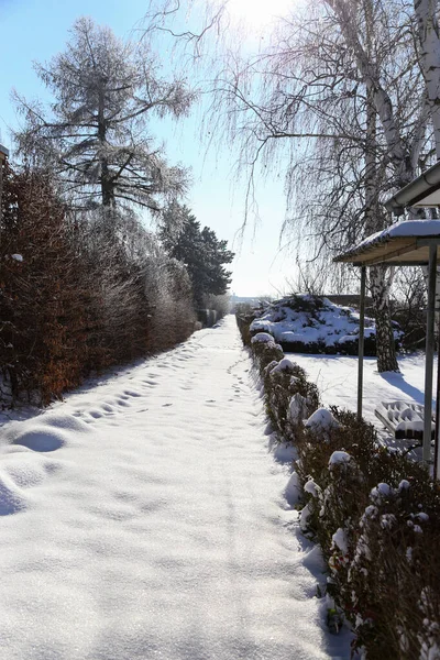 Caminho Nevado Pequeno Clube Jardim Inverno — Fotografia de Stock