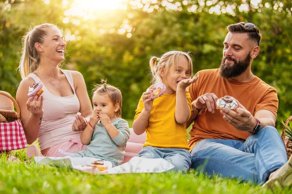 Aile Kırsalda Piknik Yapıyor Aile Aşk Tatil Kavramı — Stok fotoğraf