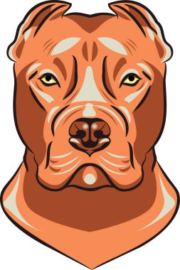 Amerikan Stadyumu teriyer illüstrasyonunun portresi