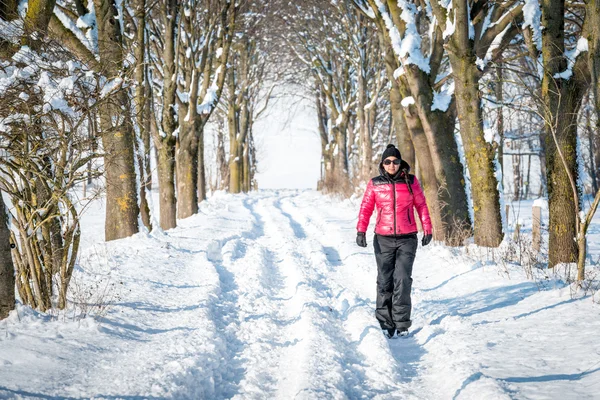 Donna escursioni in inverno attraverso la neve — Foto Stock