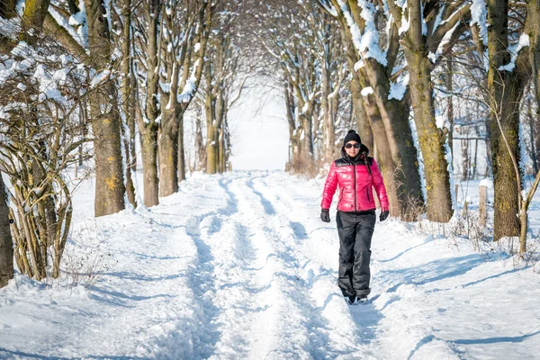 Mujer senderismo en invierno a través de la nieve —  Fotos de Stock