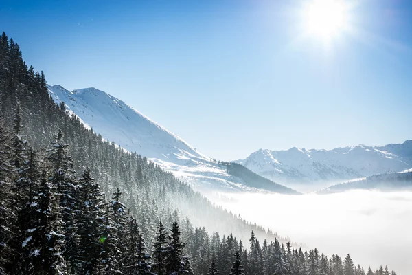 Neve coberto montanhas de inverno com nevoeiro no vale — Fotografia de Stock