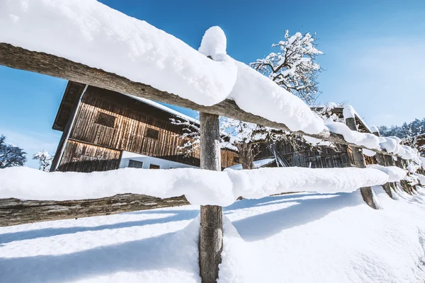晴れた冬の日に新鮮な雪 ロイヤリティフリーのストック画像