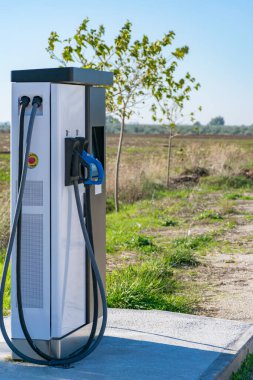 Elektrikli araç şarjı için farklı bağlantı türlerine sahip otomatik dağıtım aygıtı.