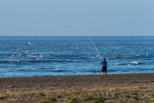 Hombre Con Una Caña Pescar Orilla Playa Tratando Pescar Cardumen —  Fotos de Stock