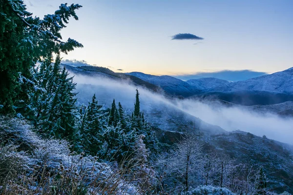 Mountainous landscape with trees in the foreground and fog on the peaks after a snowfall in the Alpujarras.