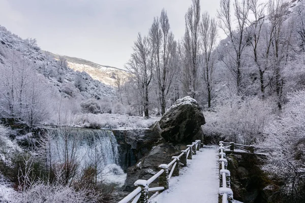 Hvitt Landskap Bro Poqueira Elven Med Bladløse Trær Etter Snøfall – stockfoto