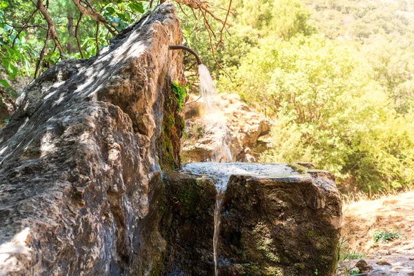 Natuurlijke Bron Het Borosa Rivierpad Sierra Cazorla — Stockfoto