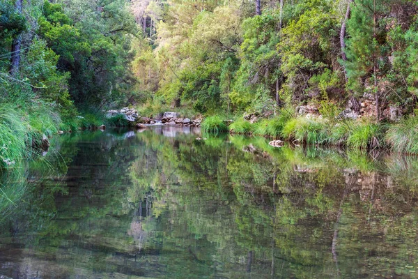 Borosa River Vegetation Reflected Its Waters Sierra Cazorla — Stock Photo, Image