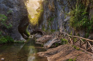 Cerrada de Elias (Elias Kanyonu), Sierra de Cazorla 'da Borosa Nehri üzerinde tahta bir üst geçit..