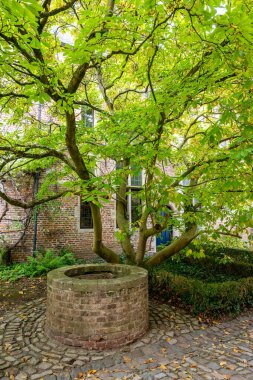 Stone and brick well under a green tree in the peaceful courtyard of the Groot Begijnhof, a historic UNESCO-listed beguinage.