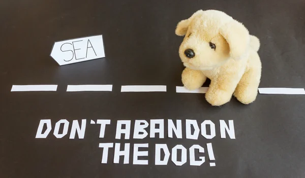 se için giden yolda terk edilmiş bir köpek