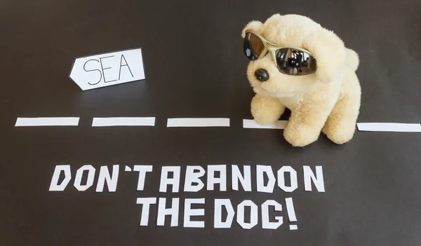 se için giden yolda terk edilmiş bir köpek