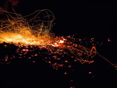 Hangi güzel vahşi Iris bir kene oturur