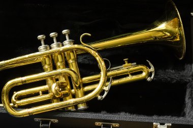 eski trompet 