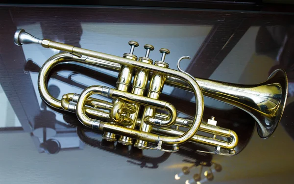 The old trumpet — Stock Photo, Image