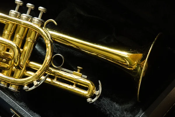 A régi trombita — Stock Fotó