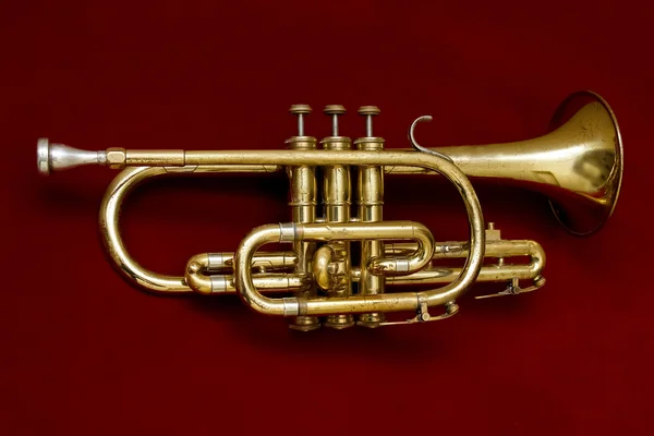 Die alte Trompete — Stockfoto