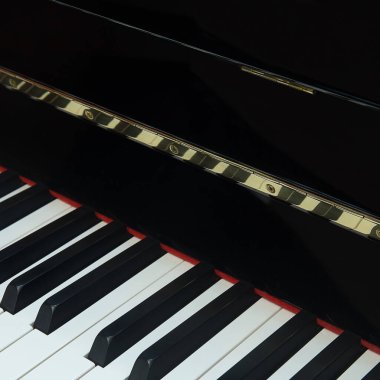 Piyano klavyesinin ayrıntıları