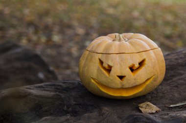 Jack O Lantern bir ağaç gövdesi üzerinde