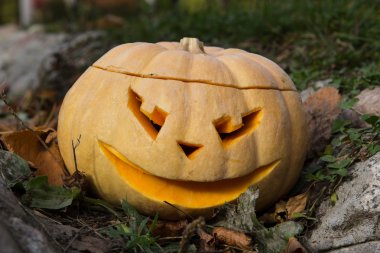 Jack O Lantern düşmüş yaprakları