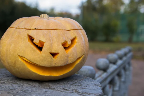 Jack O Lantern taş çit