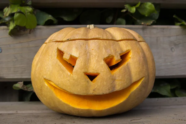 Jack O Lantern ahşap arka plan üzerinde