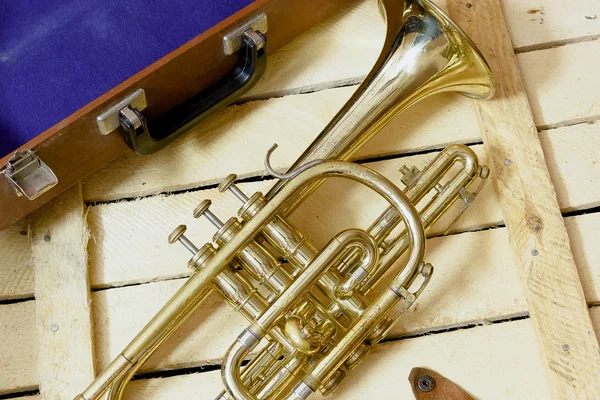 ahşap zemin üzerine sarı kornet