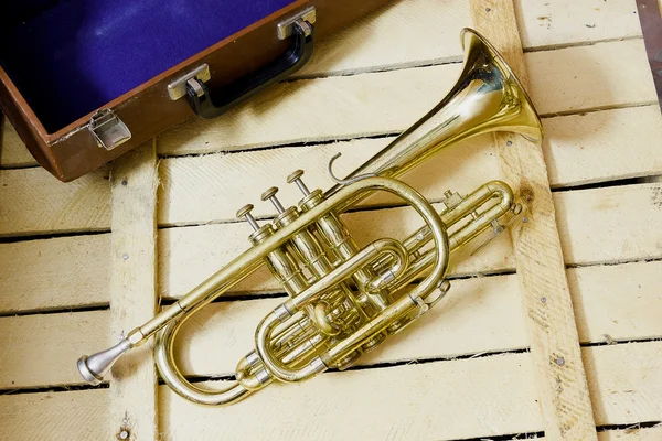 ahşap zemin üzerine sarı kornet