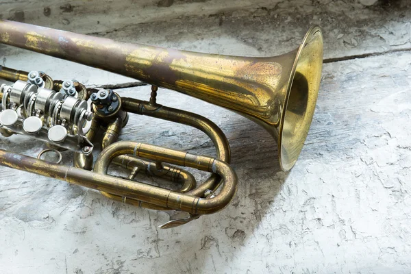 Cornet on wooden background — Stock Photo, Image