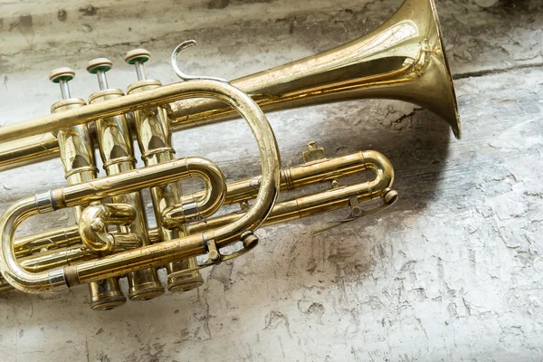 Cornet on wooden background — Stock Photo, Image