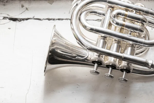 A zseb-trombita — Stock Fotó