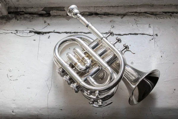 De pocket trompet — Stockfoto