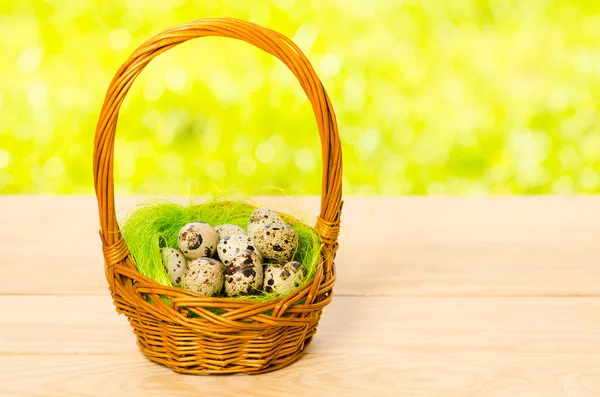 Wachteleier im Weidenkorb zu Ostern — Stockfoto