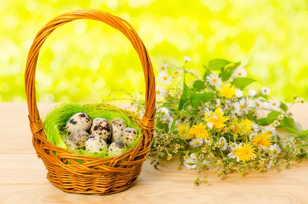 Kwarteleitjes in de rieten mand voor Pasen — Stockfoto