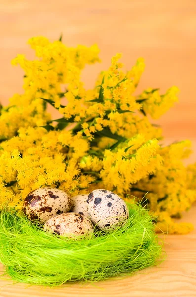 Ovos de codorna no ninho decorativo — Fotografia de Stock