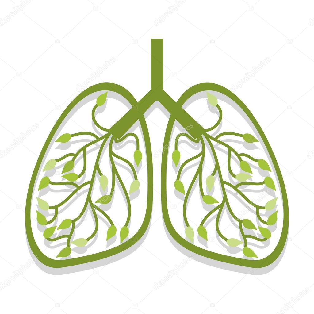 Human lung icon tree leaves