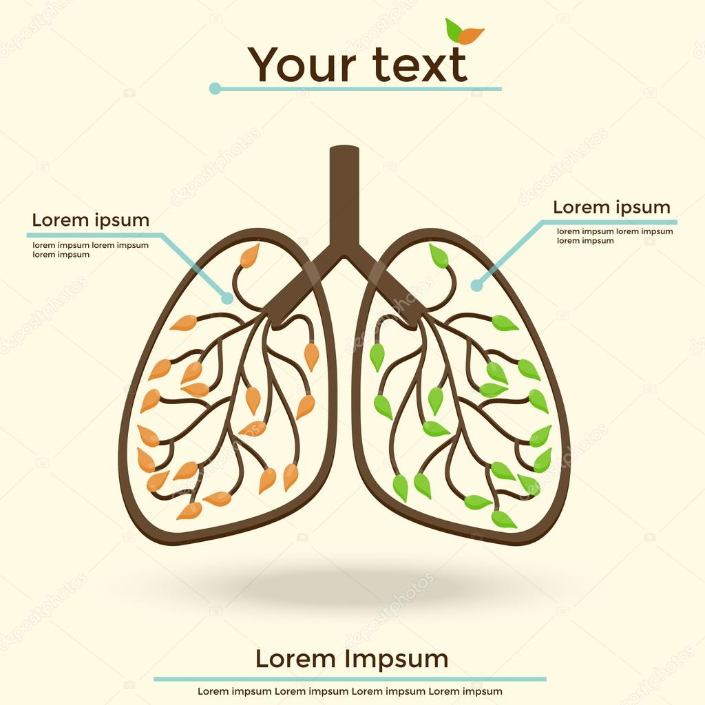 Vector Illustration lungs
