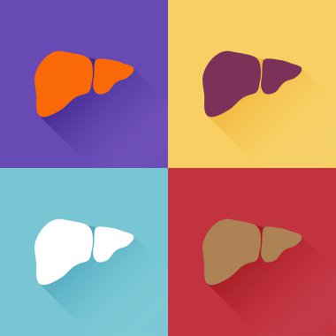 Vektör simge karaciğer